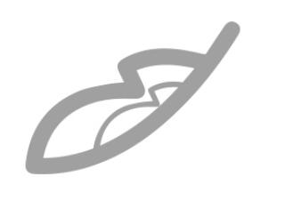 Apex 系列移动打印机